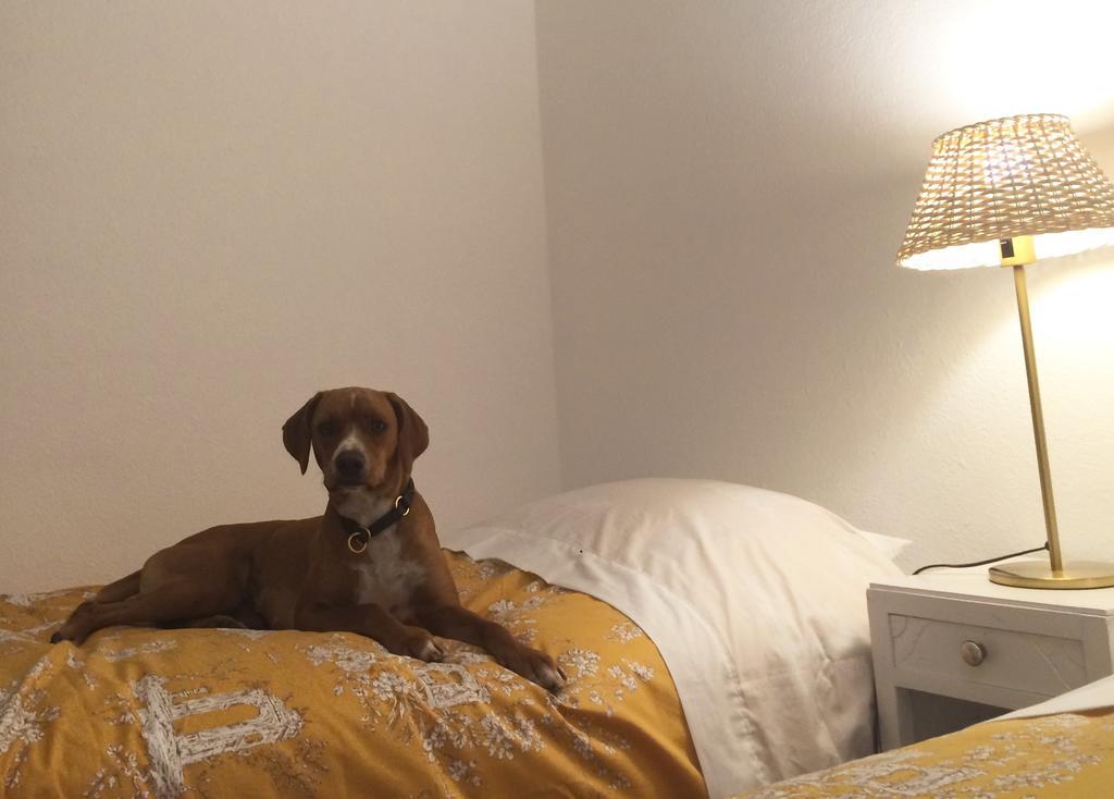 Inn Golegã Quarto foto